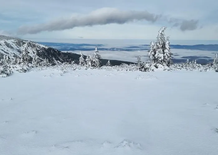 Rest & Relax Gorzyniec Appartement Piechowice (Karkonosze)